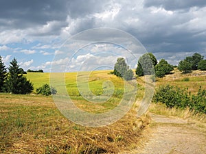 Summer landscape of Czech countryside