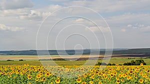 Summer landscape with different fields, hills and a cloudy sky