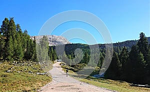 Summer landscape of the dolomites italy. Trekking alps