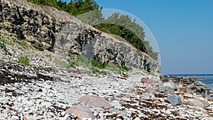 Summer landscape with dolomite rocks by the sea, beautiful view of wild romantic coastal cliff landscape at the Baltic Sea at