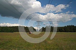 Summer landscape with electricity pylon