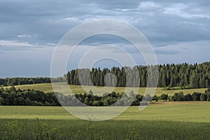 Summer landscape of Eurasia