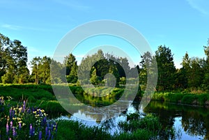 Summer landscape on a fabulous little river inside a wilderness forest against the evening sunset