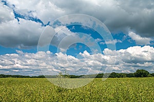 Summer landscape of a farm field in clouds, gorgeous nature, Ger