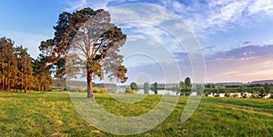 Summer landscape fast of the Ural river with the trees on the Bank of Russia, June