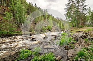 Summer landscape fast of the Ural river with the trees on the Bank of Russia, June