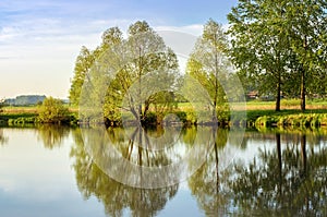 Summer landscape fast of the Ural river with the trees on the Bank of Russia, June