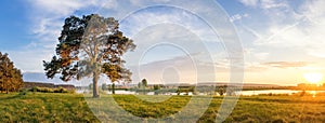 Summer landscape fast of the Ural river with the trees on the Bank of Russia, June