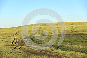 Summer landscape with field blue sky and road. Rural panorama