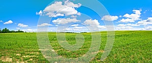 Summer landscape with a field, blue sky and white clouds