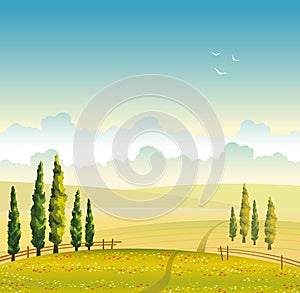 Summer landscape - field, cypress and cloud. Vector illustration