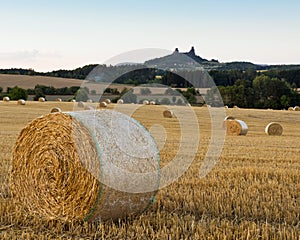 Summer landscape with field and Trosky Castle, Czech Republic