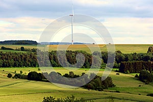Summer landscape with fields, gras, trees and a single windmill