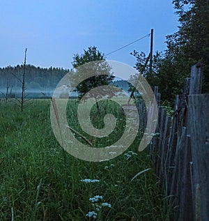 Summer landscape with fog and moon over the forest field