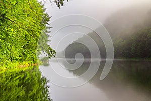 Summer landscape with forest lake