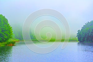 Summer landscape with forest lake