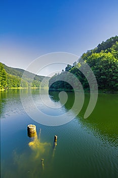 Summer landscape with forest lake