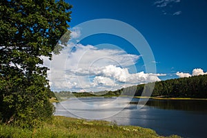 Summer landscape with forest and lake