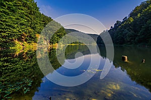 Summer landscape with forest lake