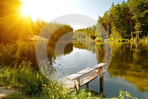 Summer landscape with forest lake photo