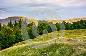 Summer landscape with forested hills