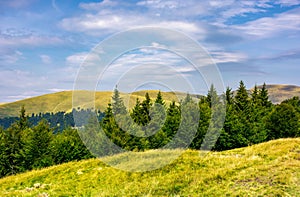 Summer landscape with forested hills