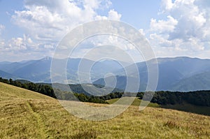 Summer landscape of a forested mountain range and grassy valleys under a cloudy sky. Carpathians, Ukraine