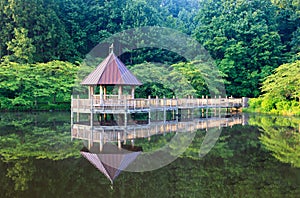 Summer Landscape Gazebo on Lake Vienna VA