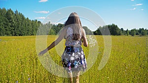 Summer landscape, girl, field of flax
