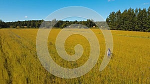 Summer landscape, girl, field of flax