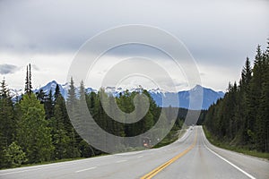 Summer landscape in Glacier National Park, British Columbia, Canada