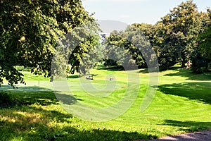 Summer landscape - a golf course in a forest area