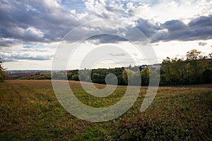 Summer Landscape with grass Field and sky