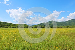 Summer landscape with green grass, hills and clouds