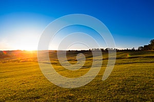 Summer landscape with green grass, road