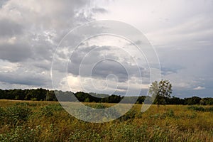 Summer landscape. Green grass and trees against the blue sky with clouds.