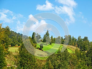 Summer landscape of green highlands in northern Alborz mountains , Mazandaran