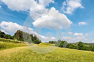 Summer landscape with green meadow, forest and blue sky