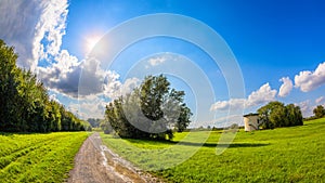 Summer landscape with green meadows