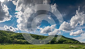 Summer landscape with green mountains