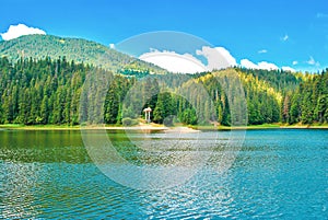 Summer landscape with green pine forest, lake and Carpathians mountain in Ukraine, selective focus
