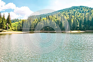 Summer landscape with green pine forest, lake Synevyr and Carpathians mountain in Ukraine