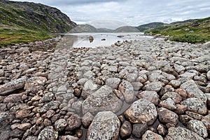 Summer landscape of green polar tundra with boulders in the foreground. Northern nature in the vicinity of Teriberka