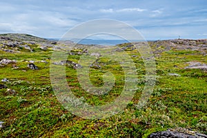 Summer landscape of green polar tundra with boulders in the foreground. Northern nature in the vicinity of Teriberka