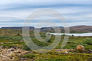 Summer landscape of green polar tundra with boulders in the foreground. Northern nature in the vicinity of Teriberka