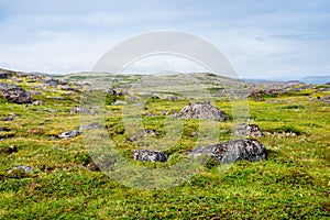 Summer landscape of green polar tundra with boulders in the foreground. Northern nature in the vicinity of Teriberka Kola
