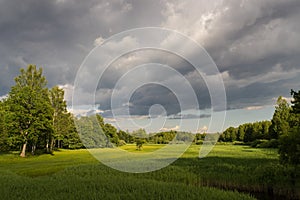 Summer landscape of green woods and river, overgrown with wild grasses. Meadow surrounded by a mixed forest.