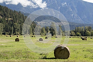 Summer landscape with hay bales and mountains. Hayfield near Pemberton, Canada. Countryside.