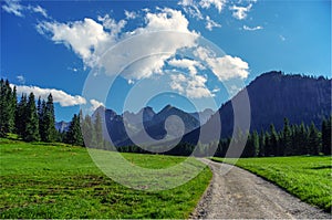 Summer landscape of the High Tatras in Slovakia