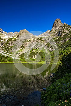 Summer landscape of the High Tatras in the vicinity of Zelene Pleso. Tatra National Park, Slovakia